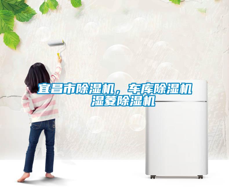 宜昌市除濕機，車庫除濕機  濕菱除濕機