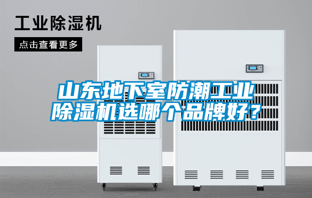 山東地下室防潮工業除濕機選哪個品牌好？