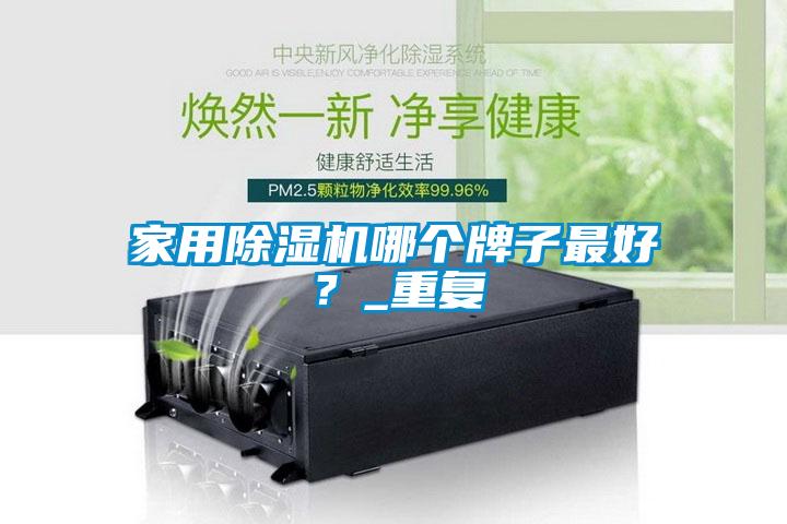 家用除濕機哪個牌子最好？_重復