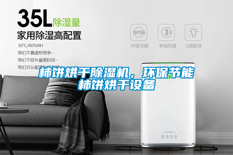 柿餅烘干除濕機，環保節能柿餅烘干設備