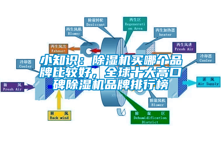 小知識：除濕機買哪個品牌比較好，全球十大高口碑除濕機品牌排行榜