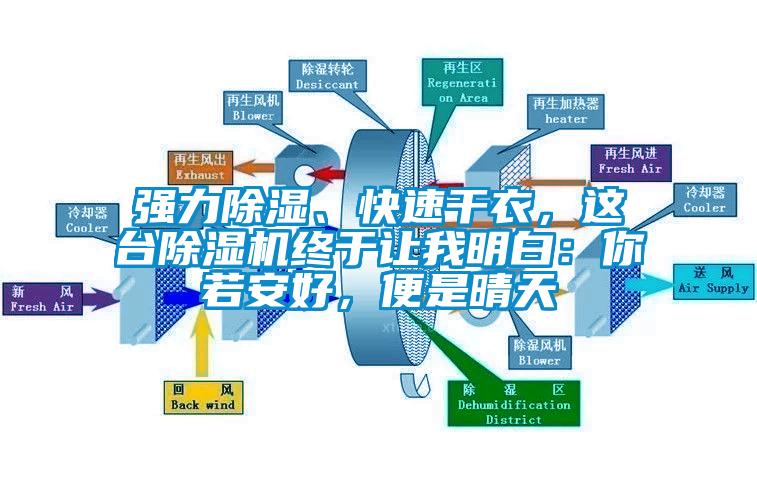 強力除濕、快速干衣，這臺除濕機終于讓我明白：你若安好，便是晴天