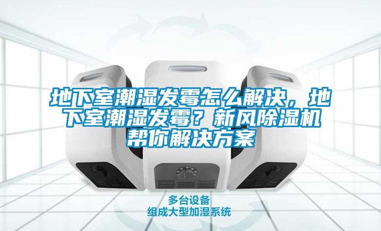 地下室潮濕發霉怎么解決，地下室潮濕發霉？新風除濕機幫你解決方案