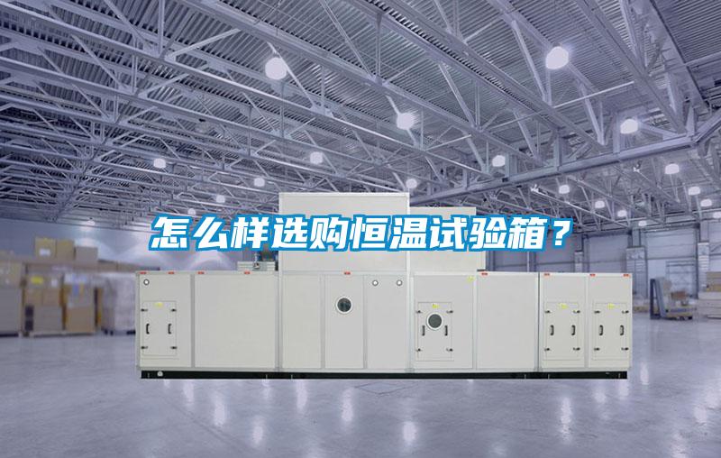 怎么樣選購恒溫試驗箱？
