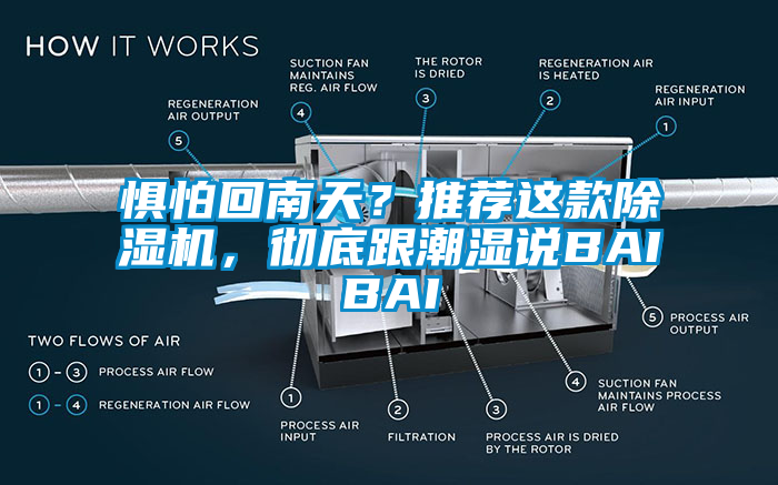 懼怕回南天？推薦這款除濕機，徹底跟潮濕說BAIBAI