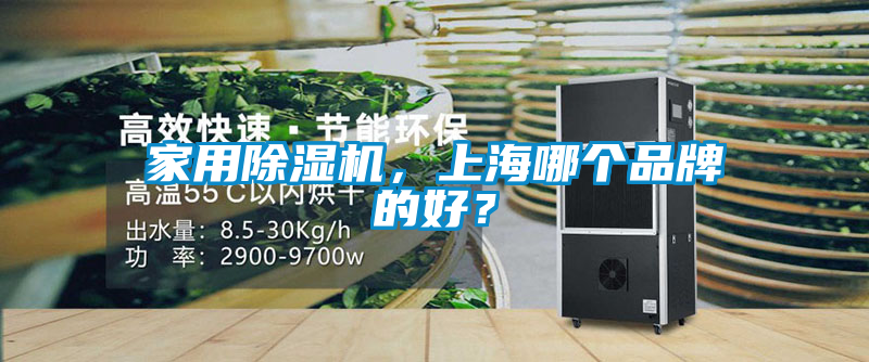 家用除濕機，上海哪個品牌的好？
