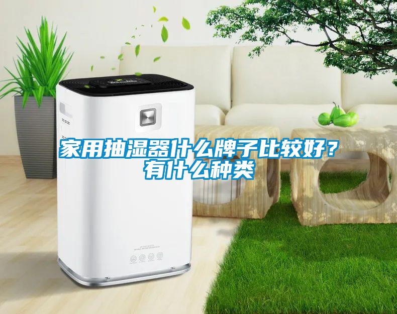 家用抽濕器什么牌子比較好？有什么種類