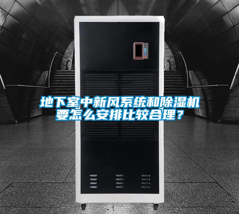 地下室中新風系統和除濕機要怎么安排比較合理？