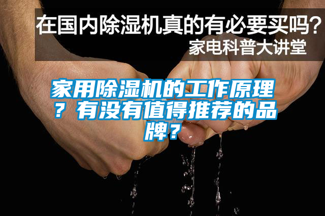 家用除濕機的工作原理？有沒有值得推薦的品牌？