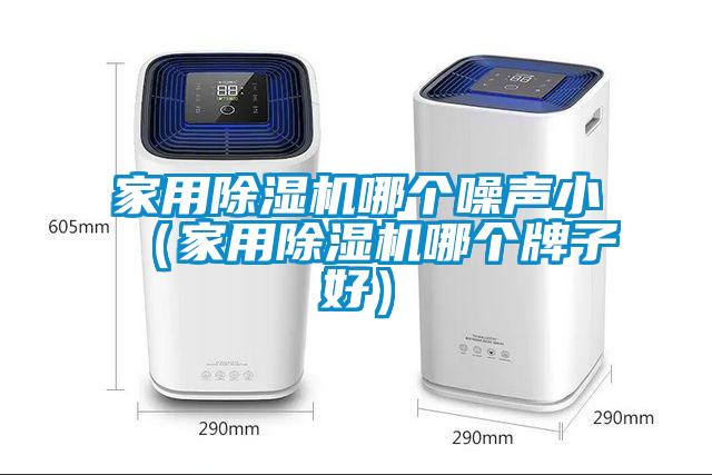 家用除濕機哪個噪聲?。矣贸凉駲C哪個牌子好）