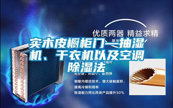 實木皮櫥柜門—抽濕機、干衣機以及空調除濕法