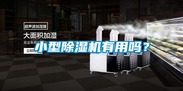 小型除濕機有用嗎？