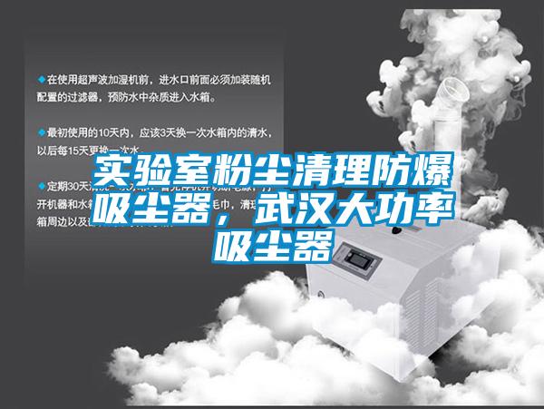 實驗室粉塵清理防爆吸塵器，武漢大功率吸塵器