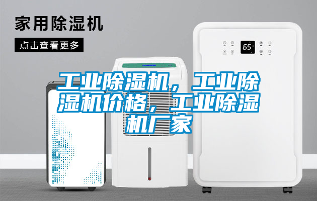 工業除濕機，工業除濕機價格，工業除濕機廠家