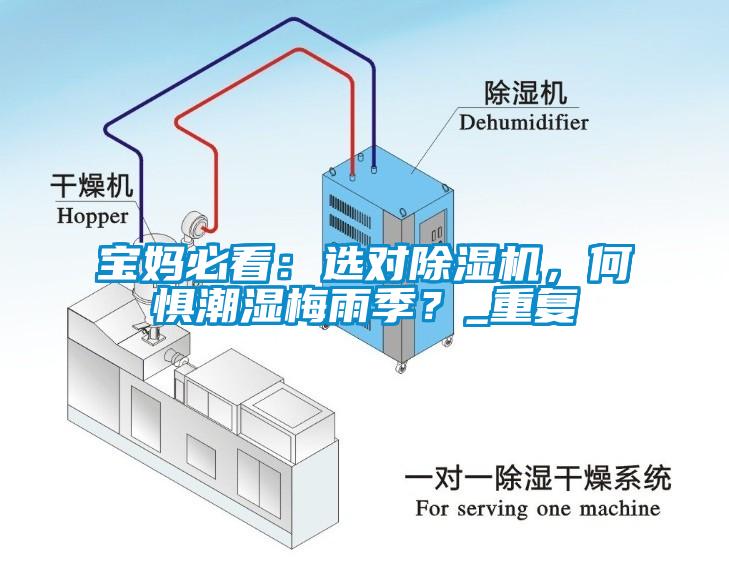 寶媽必看：選對除濕機，何懼潮濕梅雨季？_重復