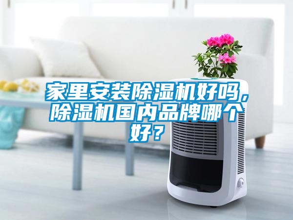 家里安裝除濕機好嗎，除濕機國內品牌哪個好？