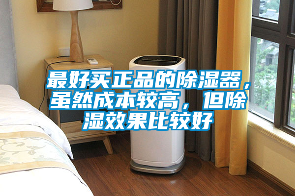 最好買正品的除濕器，雖然成本較高，但除濕效果比較好