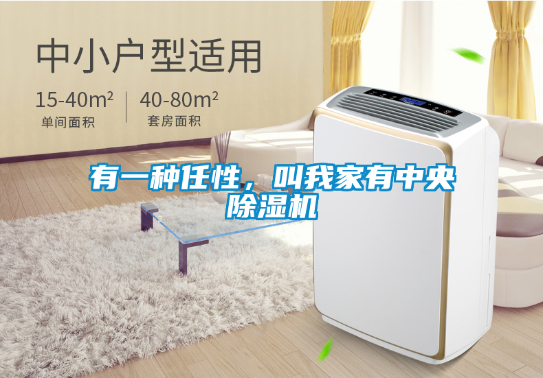 有一種任性，叫我家有中央除濕機
