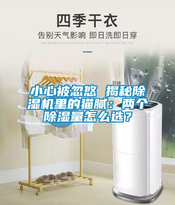 小心被忽悠 揭秘除濕機里的貓膩：兩個除濕量怎么選？