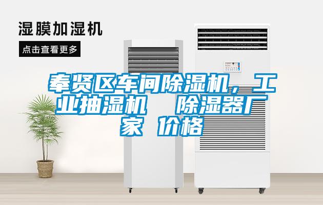 奉賢區車間除濕機，工業抽濕機  除濕器廠家 價格