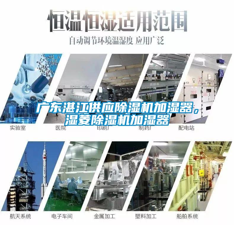 廣東湛江供應除濕機加濕器，濕菱除濕機加濕器