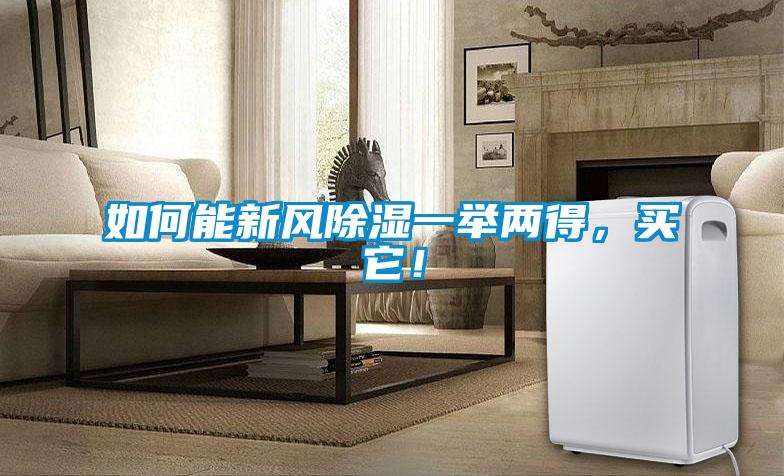 如何能新風除濕一舉兩得，買它！