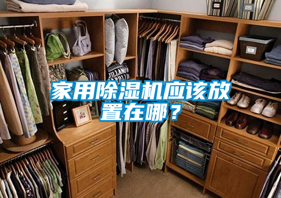 家用除濕機應該放置在哪？
