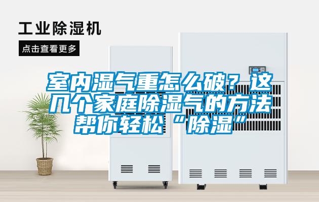 室內濕氣重怎么破？這幾個家庭除濕氣的方法幫你輕松“除濕”