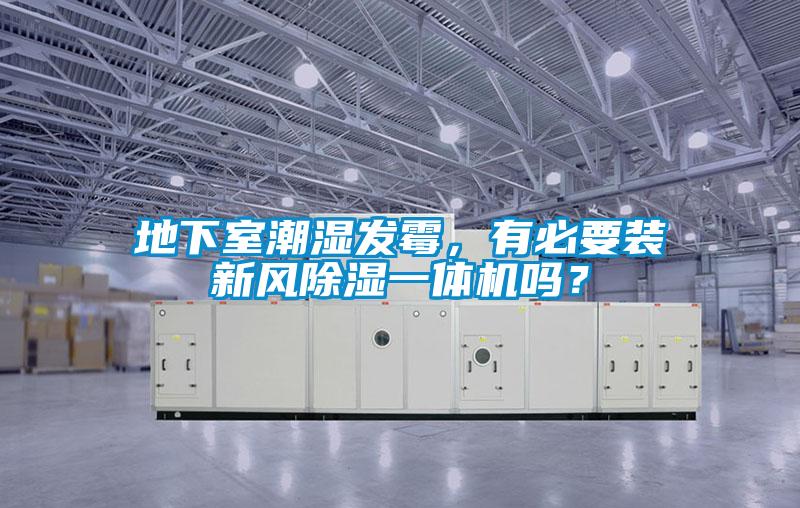 地下室潮濕發霉，有必要裝新風除濕一體機嗎？