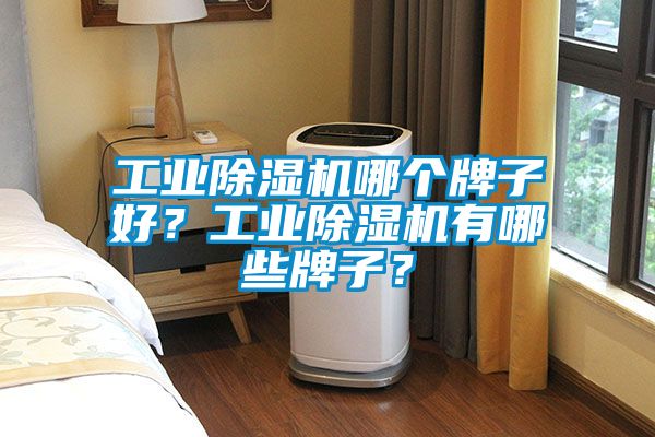 工業除濕機哪個牌子好？工業除濕機有哪些牌子？