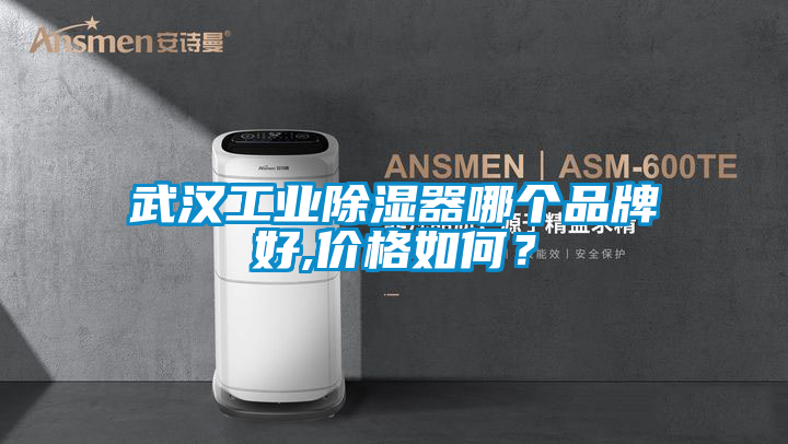 武漢工業除濕器哪個品牌好,價格如何？