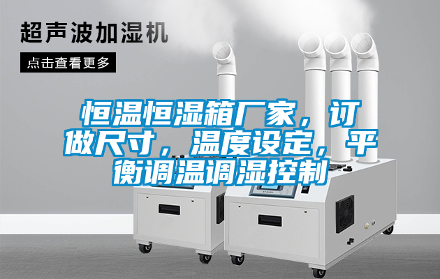 恒溫恒濕箱廠家，訂做尺寸，溫度設定，平衡調溫調濕控制