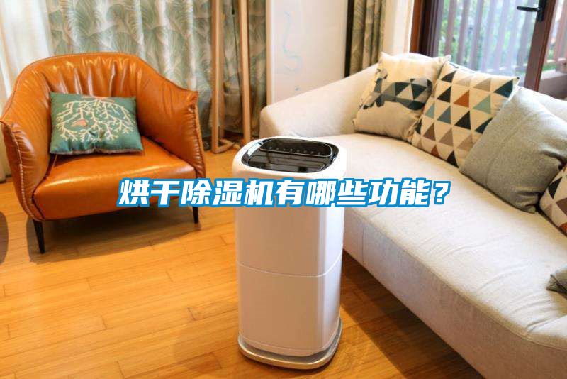 烘干除濕機有哪些功能？