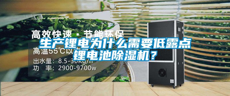 生產鋰電為什么需要低露點鋰電池除濕機？