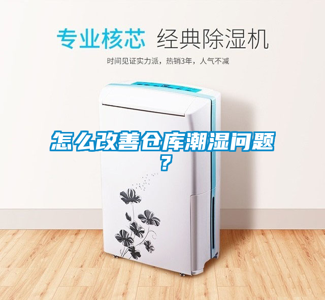 怎么改善倉庫潮濕問題？