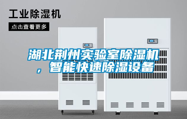 湖北荊州實驗室除濕機，智能快速除濕設備