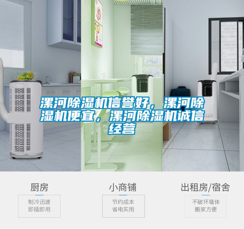 漯河除濕機信譽好，漯河除濕機便宜，漯河除濕機誠信經營