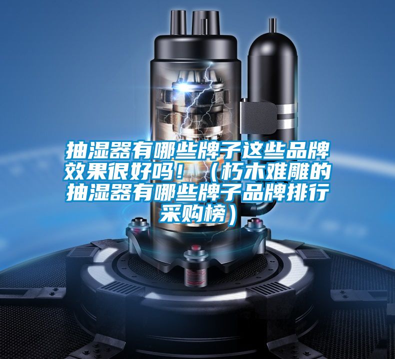 抽濕器有哪些牌子這些品牌效果很好嗎?。ㄐ嗄倦y雕的抽濕器有哪些牌子品牌排行采購榜）