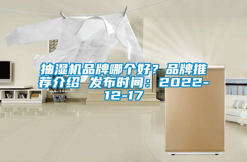抽濕機品牌哪個好？品牌推薦介紹 發布時間：2022-12-17