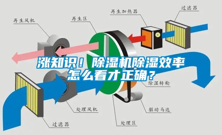 漲知識！除濕機除濕效率怎么看才正確？