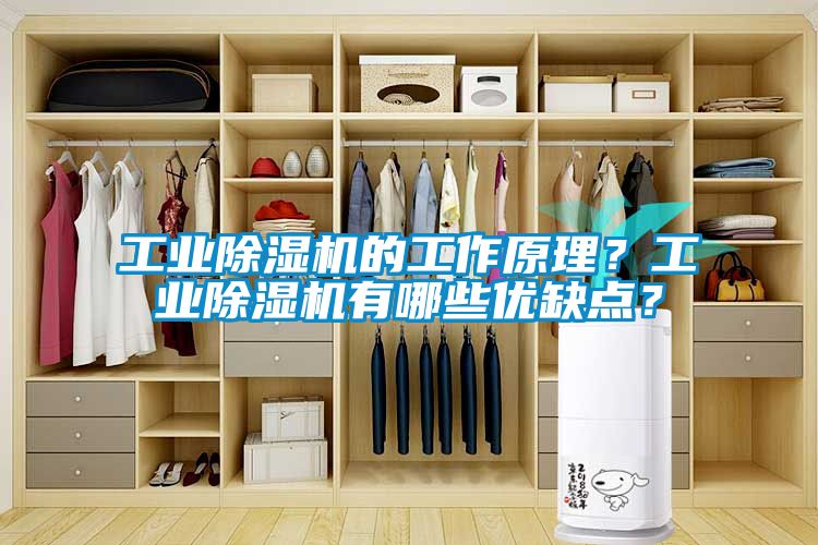 工業除濕機的工作原理？工業除濕機有哪些優缺點？
