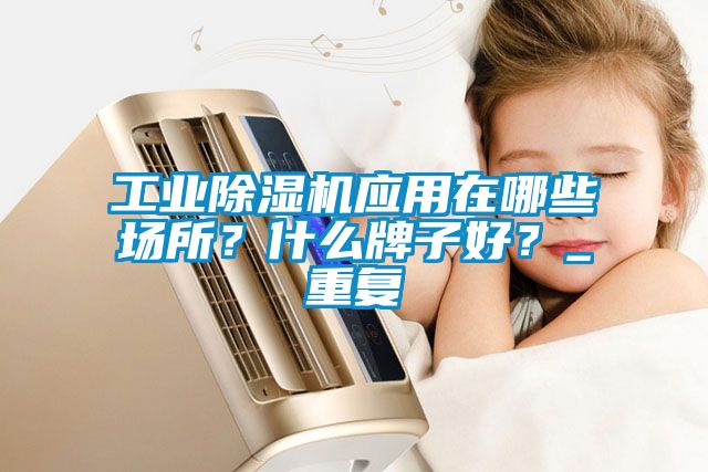 工業除濕機應用在哪些場所？什么牌子好？_重復