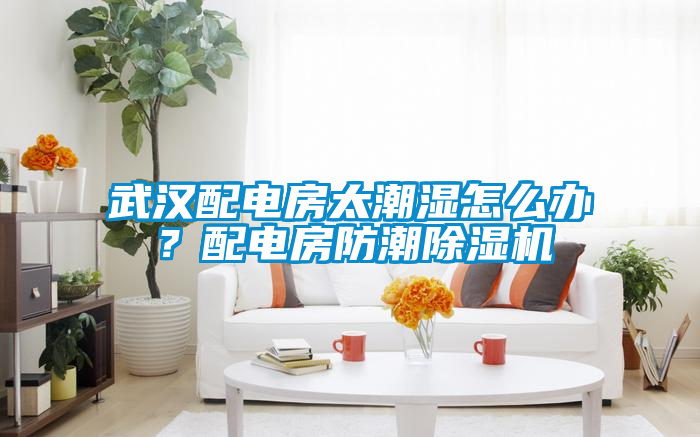 武漢配電房太潮濕怎么辦？配電房防潮除濕機