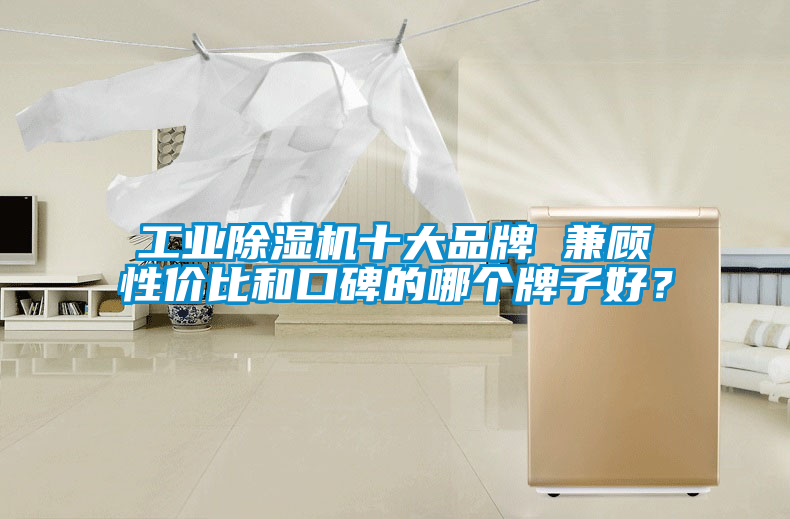 工業除濕機十大品牌 兼顧性價比和口碑的哪個牌子好？