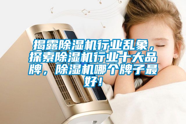 揭露除濕機行業亂象，探索除濕機行業十大品牌，除濕機哪個牌子最好！