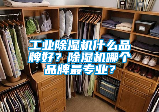 工業除濕機什么品牌好？除濕機哪個品牌最專業？