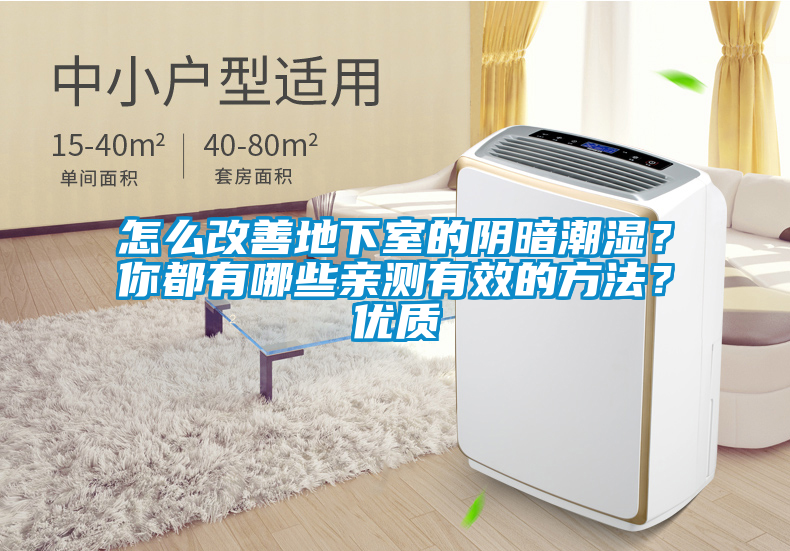 怎么改善地下室的陰暗潮濕？你都有哪些親測有效的方法？優質