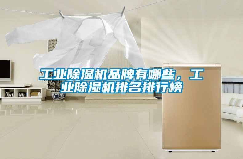 工業除濕機品牌有哪些，工業除濕機排名排行榜