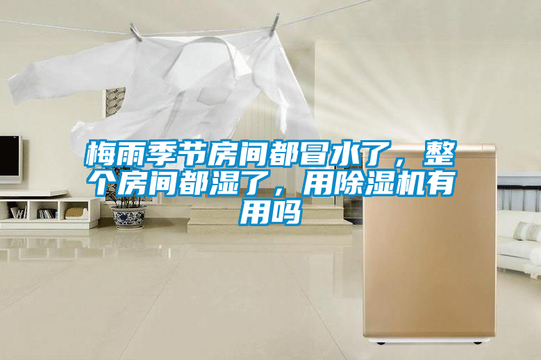 梅雨季節房間都冒水了，整個房間都濕了，用除濕機有用嗎