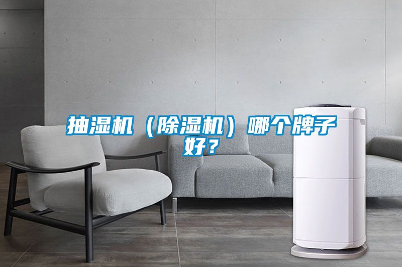 抽濕機（除濕機）哪個牌子好？